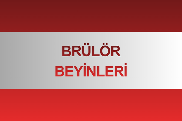 Brülör Otomatikleri (Beyin)
